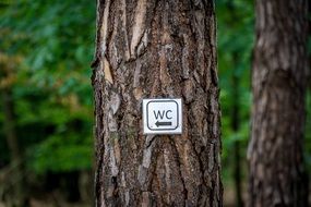 toilet sign on the tree