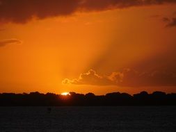 bright sun in the yellow evening sky over the silhouettes of trees