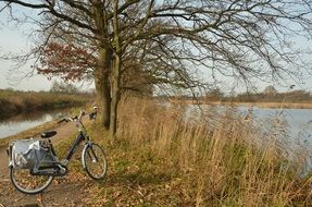 Autumn Landscape with Bicycle standing beneath bare tree at water