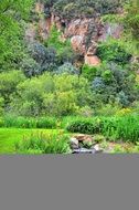 Creek Cliff Valley Tree Nature