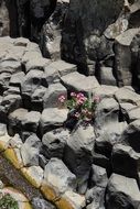 magic beauty Rock