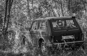 abandoned car in the forest in black and white image