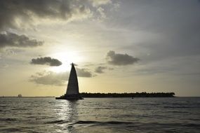 rock in the sea at sunset