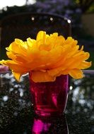 Yellow Tumor in the red glass