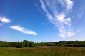 Sky Trees Landscape Horizon