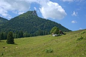 panorama of scenic landscapes in the chiemgau region in bavaria