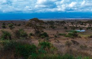 Safari Africa Park