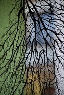 black tree branch on the background of the building