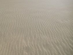 sand on the beach as a decor