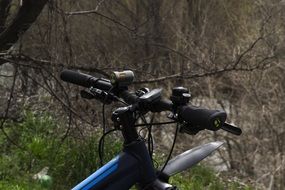 Bike riding in a Forest