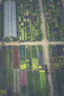 aerial view of the garden nursery