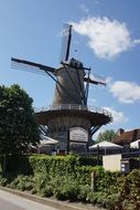 mill near green tree in zealand