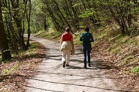 two people walk along a forest trail