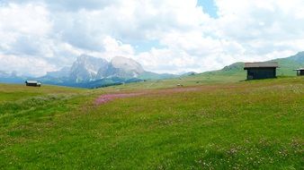 barn on an alpine meadow in Germany