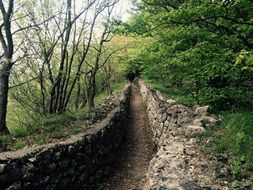 Trenches Trail