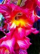 Fractals gladiolus flower