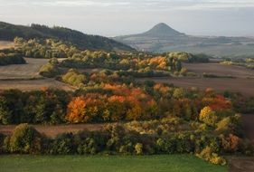 Landscape of autumn leaves on trees