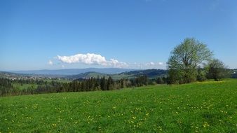 Green nature in Poland