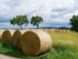 straw bales rural landscape