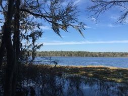 Lake in a national park