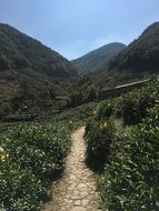 Landscape of Dongbaishan