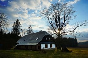 Cottage and tree in the evening