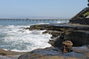 Ocean Rocky Coastline