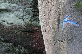 blue arrow on a rock as a direction