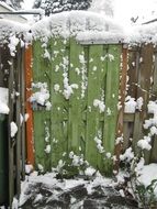 Garden in a snow