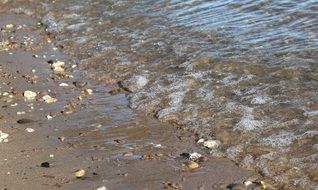 River landscape on the sandy beach