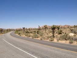 Road Desert