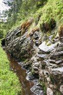 creek in the ditch in the forest