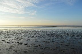 wet sand brach at Wadden Sea