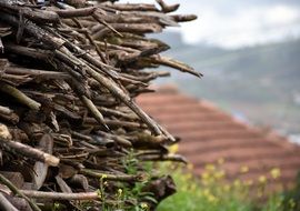 stacked firewood in the village