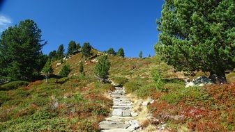 stone walk path on hill at garden, germany, South Tyrol
