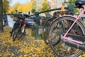 picturesque and pretty Amsterdam Bicycles