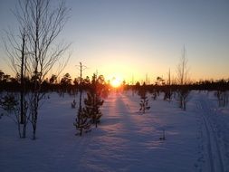 nature at sunset in winter