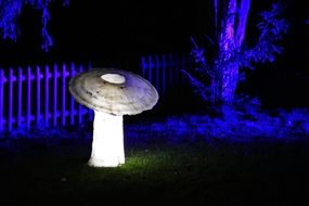 mushroom like a lantern in a park