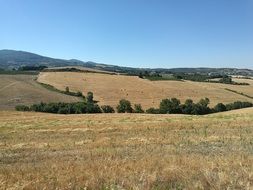 agricultural fields in Tuscany