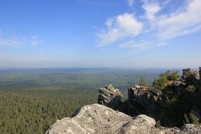 rocky Mountain above green forest