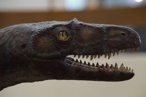 Dinosaur Head with Tooth