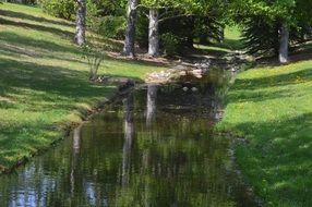 park is reflected in the stream of water