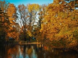 park lake in autumn