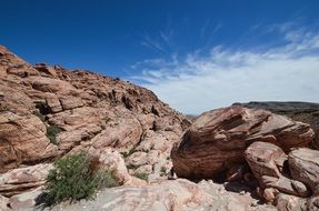 Landscape of red rock canyon in nevada