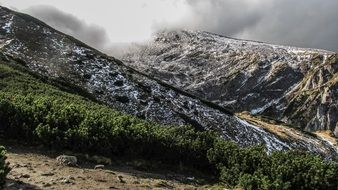 green forest mountains landscape