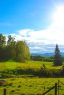 Colorful landscape of Sweden