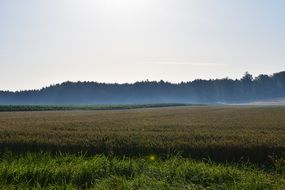 sunrise over fields in the countryside