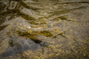 Picture of clean river water