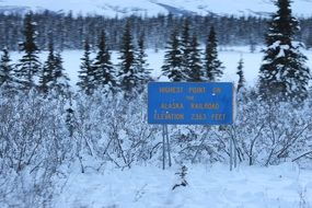 Alaska forest sign