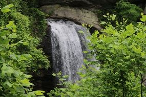 waterfall among green thickets